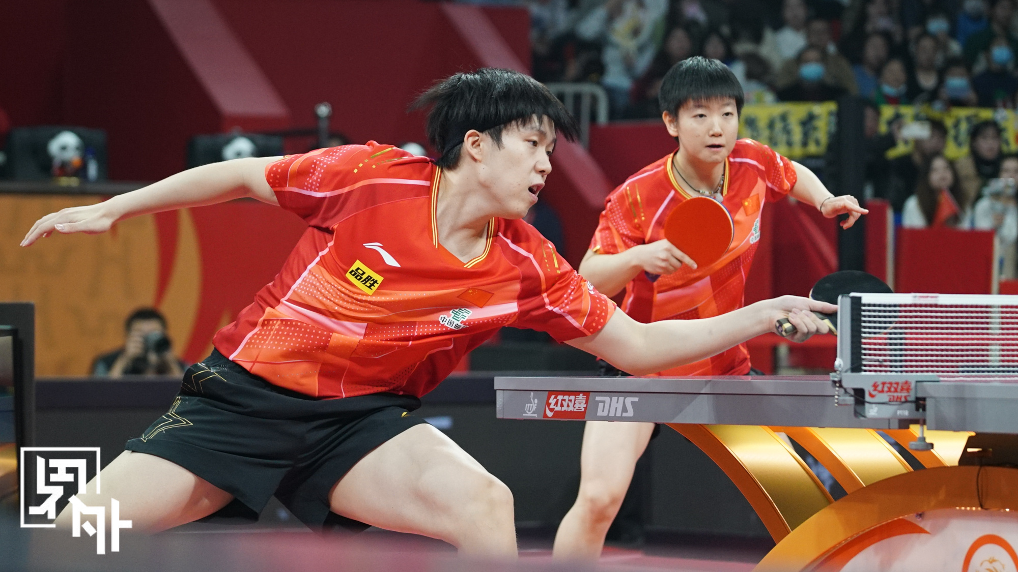 DB电竞官网登录-奥地利乒乓球队横扫中国乒乓球队，波尔高光表现的简单介绍